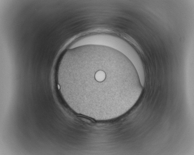 X0000113030436200910081223