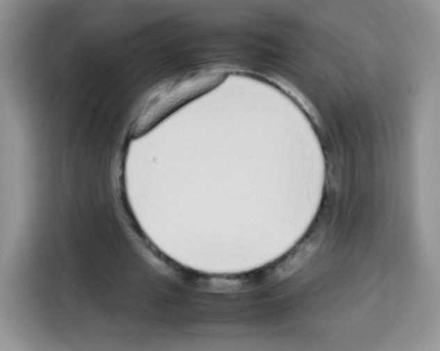 X0000113030437200910081223