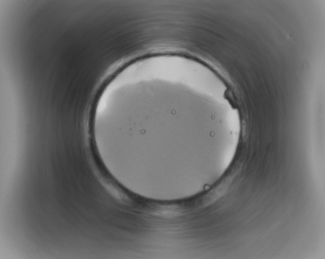 X0000113030438200910081223