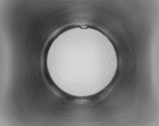 X0000113030440200910081223