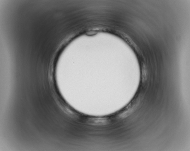 X0000113030443200910081223