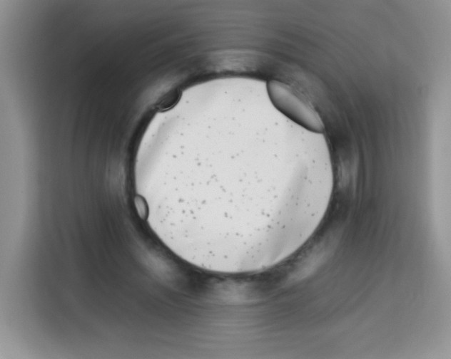 X0000113030444200910081223