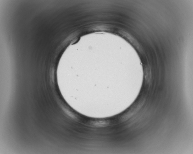 X0000113030445200910081223