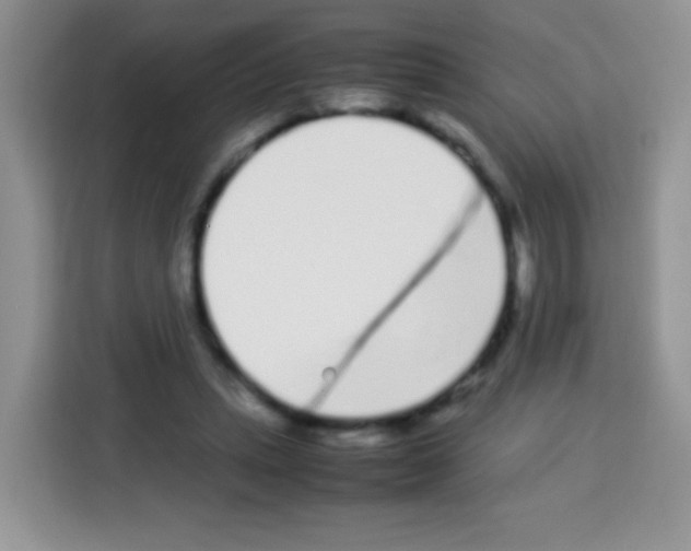 X0000113030447200910081223