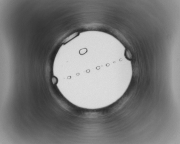 X0000113030448200910081223