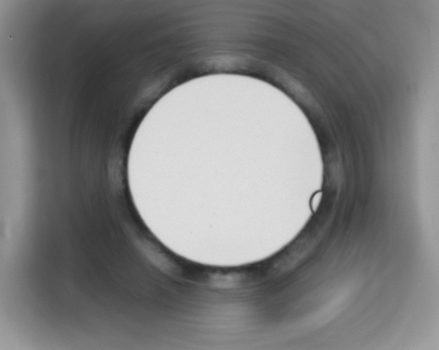 X0000113030450200910081223
