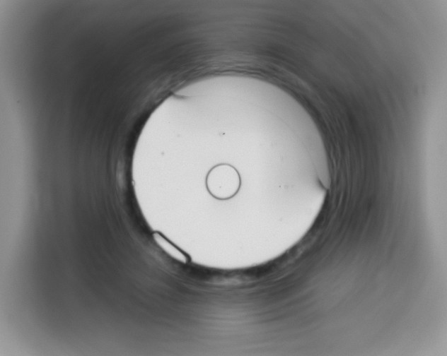 X0000113030452200910081223