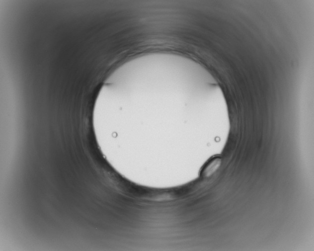 X0000113030456200910081223
