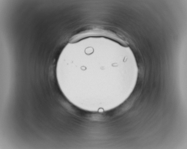 X0000113030462200910081223