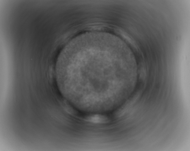 X0000113030467200910081224