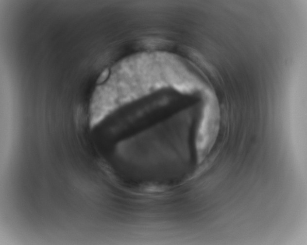 X0000113030471200910081224