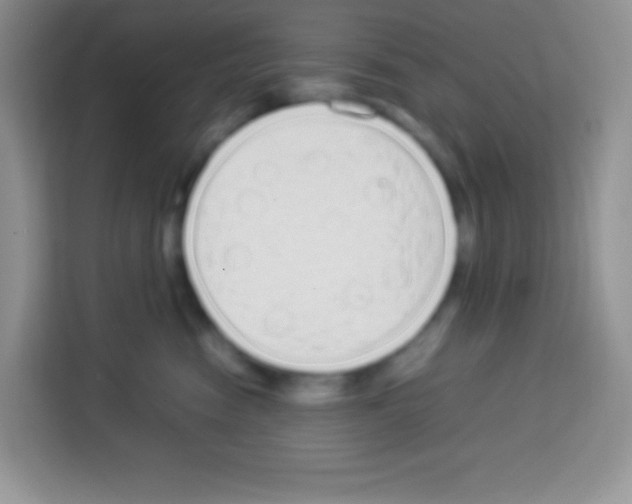 X0000113030474200910081224