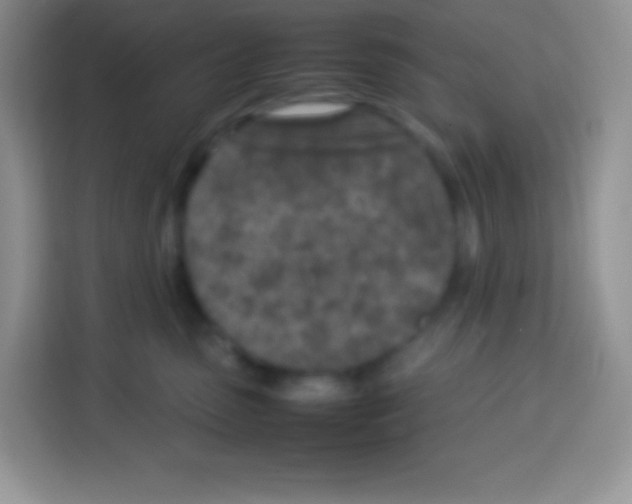 X0000113030475200910081224