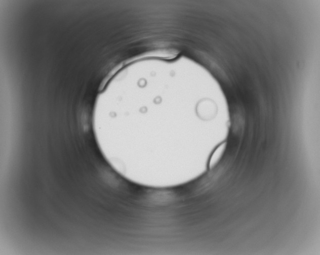 X0000113030476200910081224