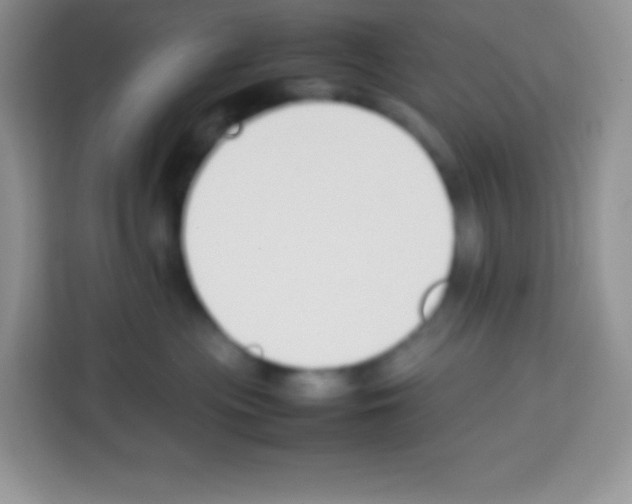 X0000113030477200910081224