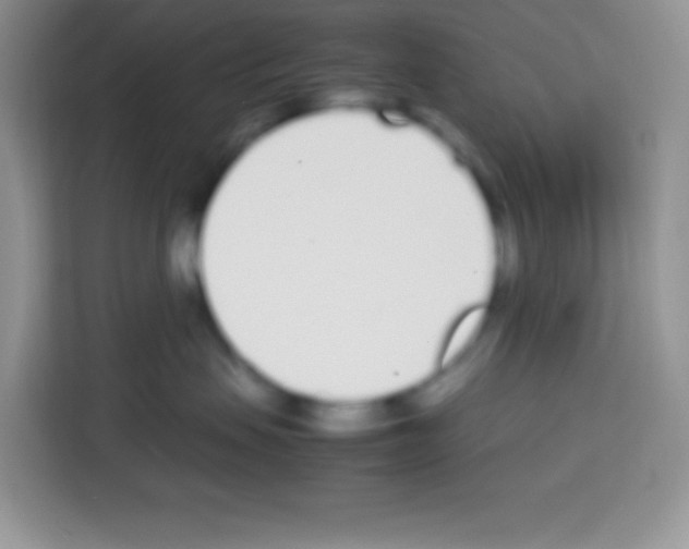 X0000113030479200910081224