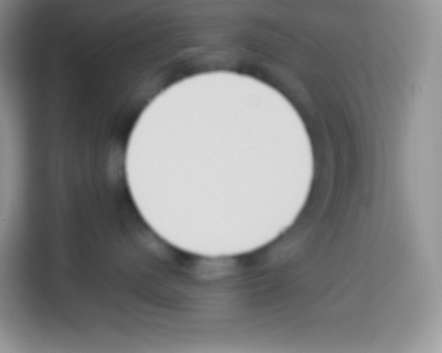 X0000113030480200910081224
