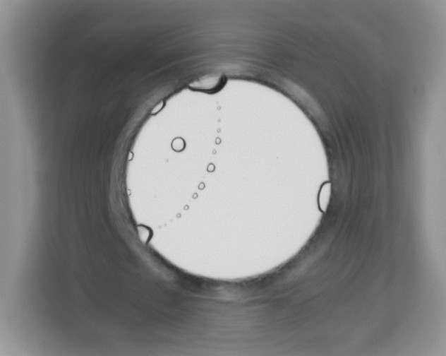 X0000113030481200910081223