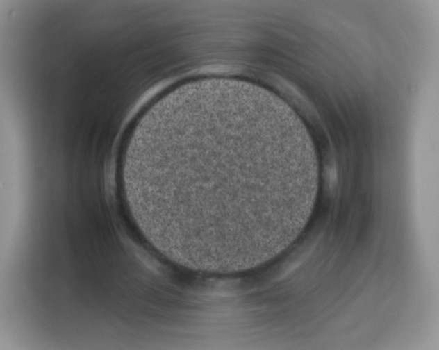 X0000113030484200910081223