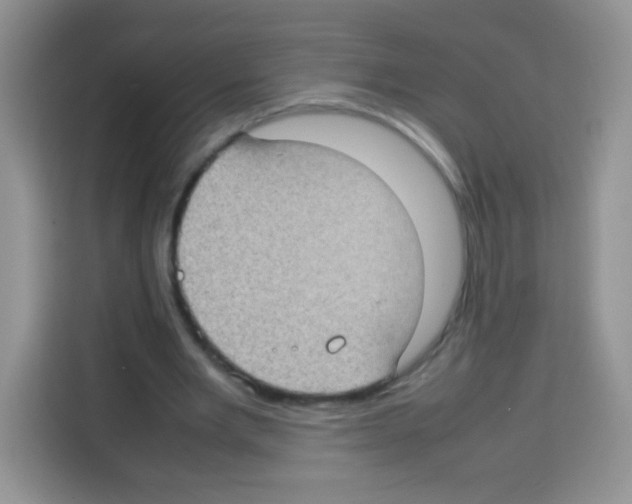X0000113030485200910081223