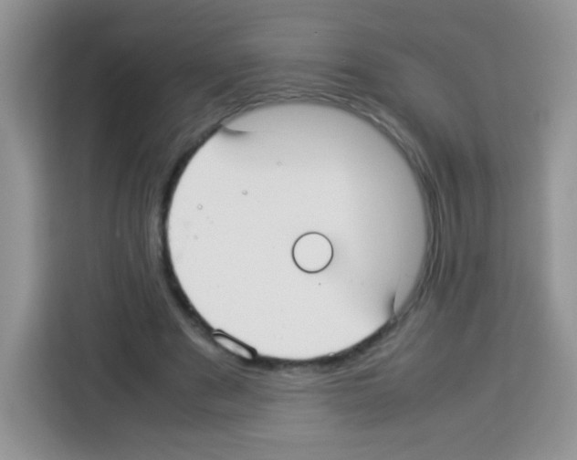 X0000113030489200910081223