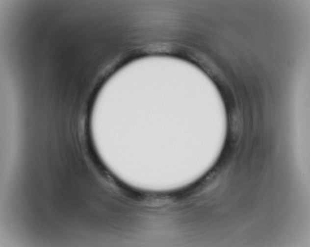 X0000113030491200910081223