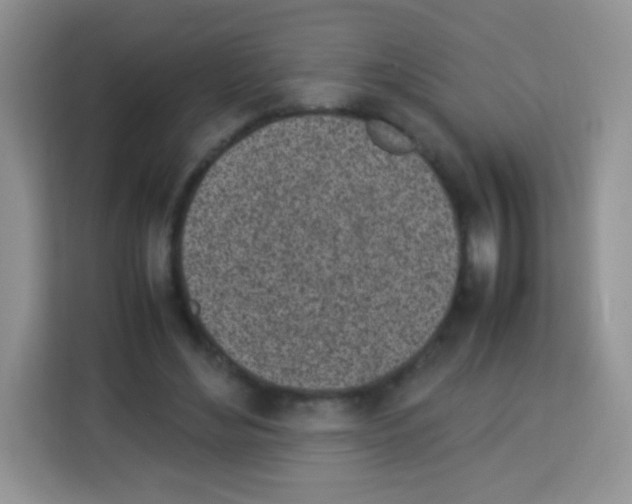 X0000113030492200910081223