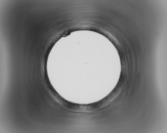 X0000113030493200910081223