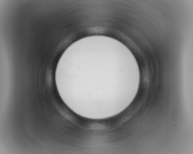X0000113030494200910081223