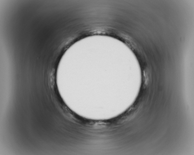 X0000113030495200910081223