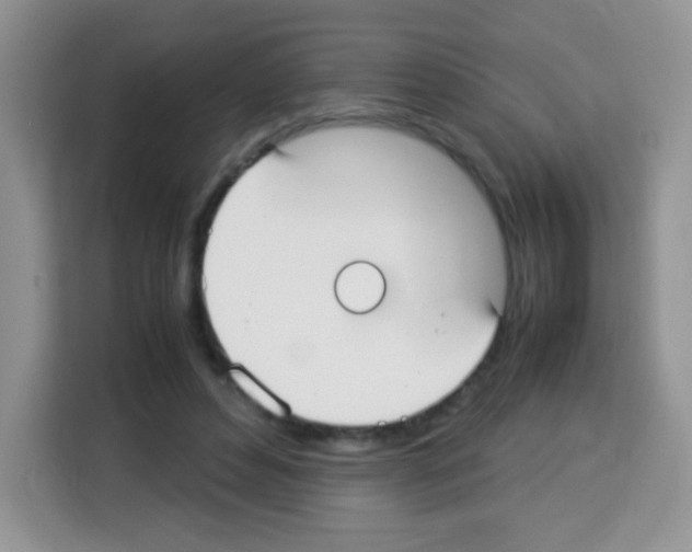 X0000113030496200910081223