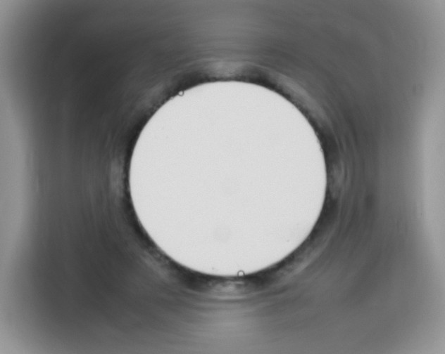 X0000113030497200910081223