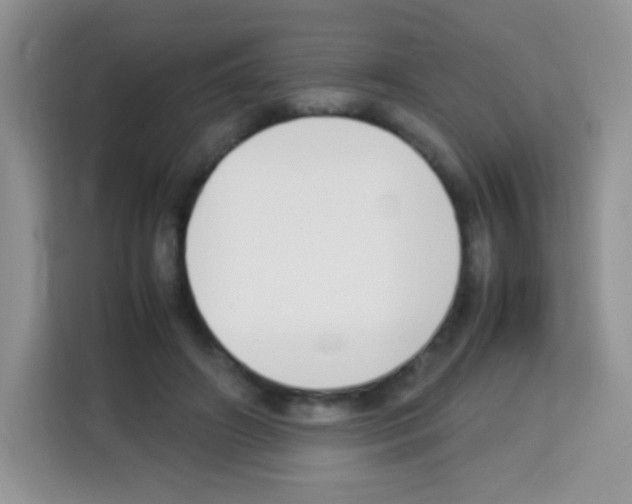 X0000113030498200910081223