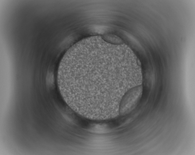 X0000113030500200910081223