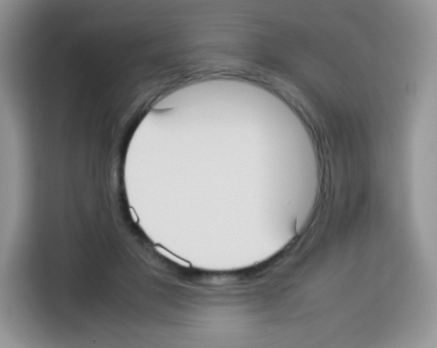 X0000113030501200910081223