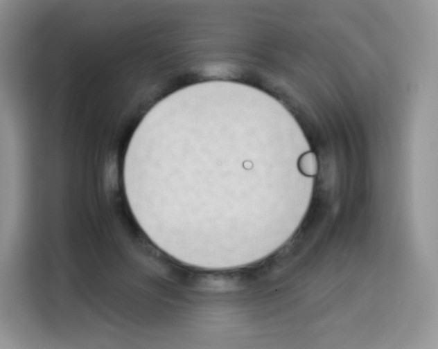 X0000113030502200910081223