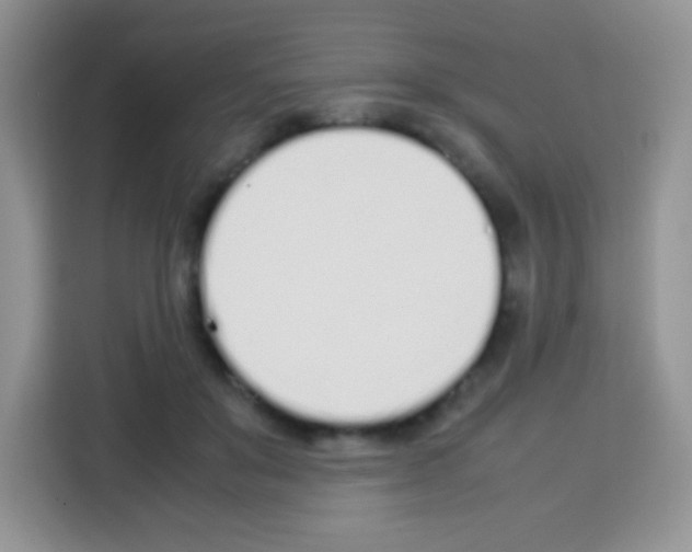 X0000113030503200910081223