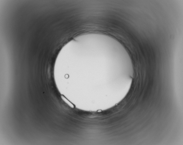 X0000113030504200910081223