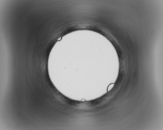X0000113030505200910081223