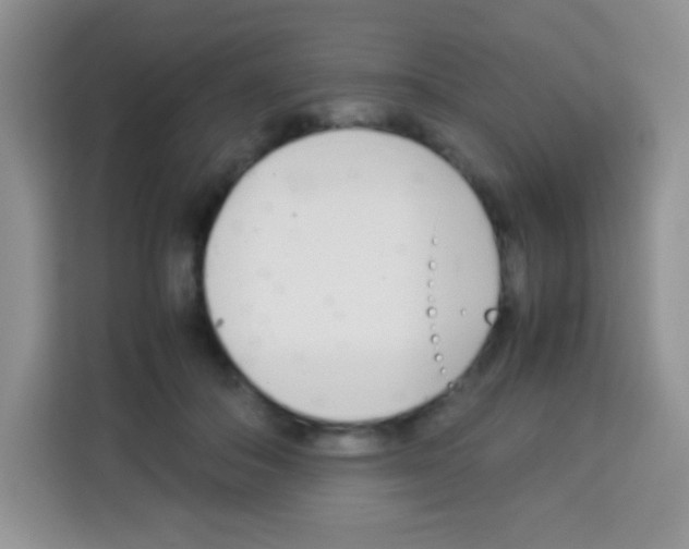 X0000113030506200910081223
