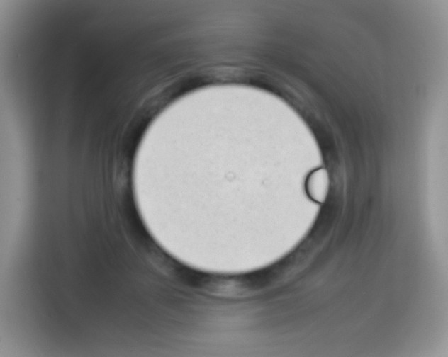 X0000113030507200910081223