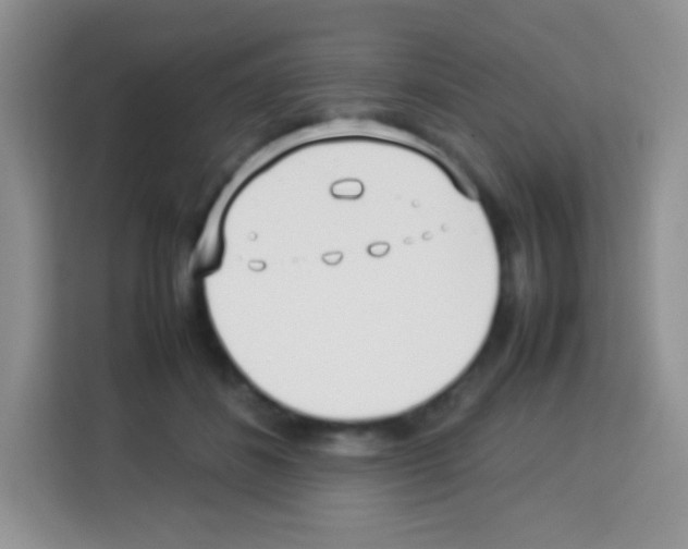 X0000113030508200910081223