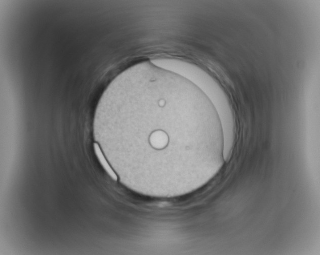 X0000113030509200910081223
