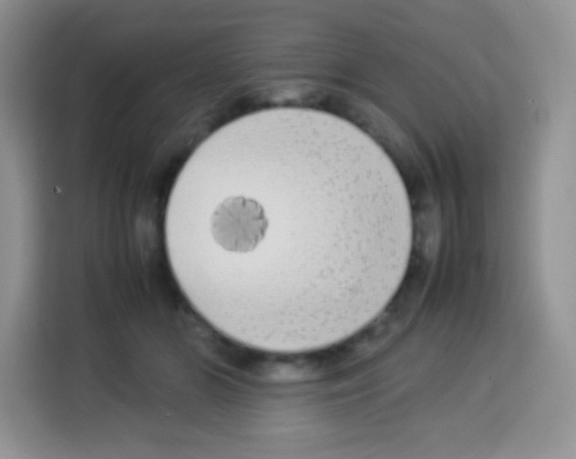 X0000113030510200910081223