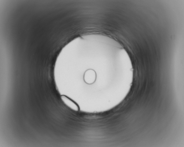 X0000113030512200910081223