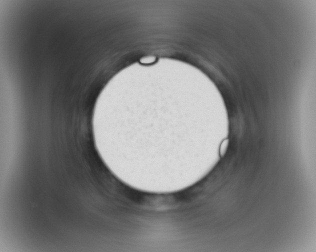 X0000113030517200910081223