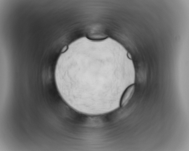 X0000113030520200910081223