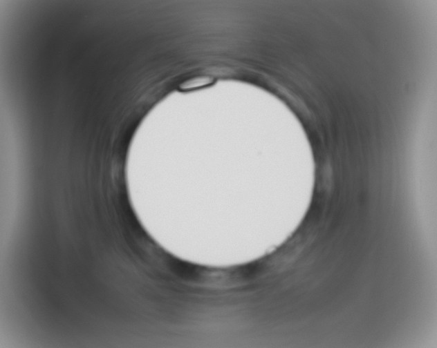 X0000113030521200910081223
