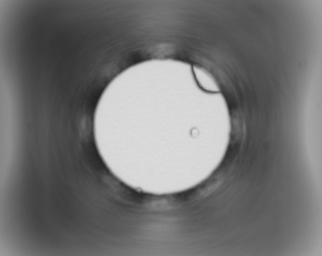 X0000113030523200910081223