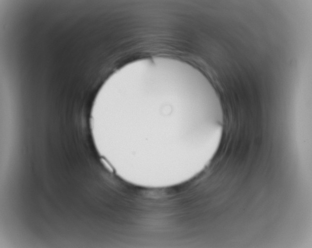 X0000113030524200910081223